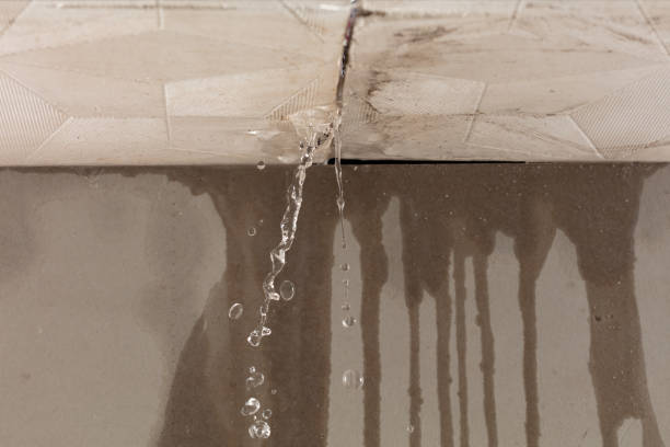 Professional Flood Damage Cleanup technician working in Plymouth, WI